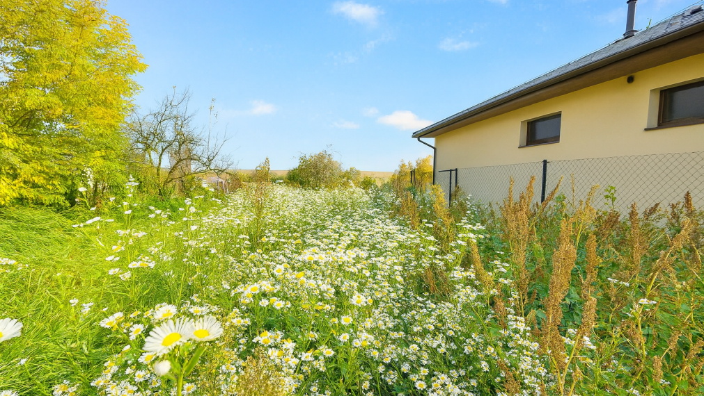 🏡 Na predaj pozemok v obci Rišňovce