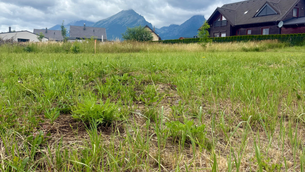 Nádherný stavebný pozemok s výhľadom na Tatry - Stará Lesná, okr. Kežmarok