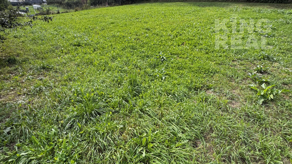 Investičný pozemok, Molitérka - Bardejov