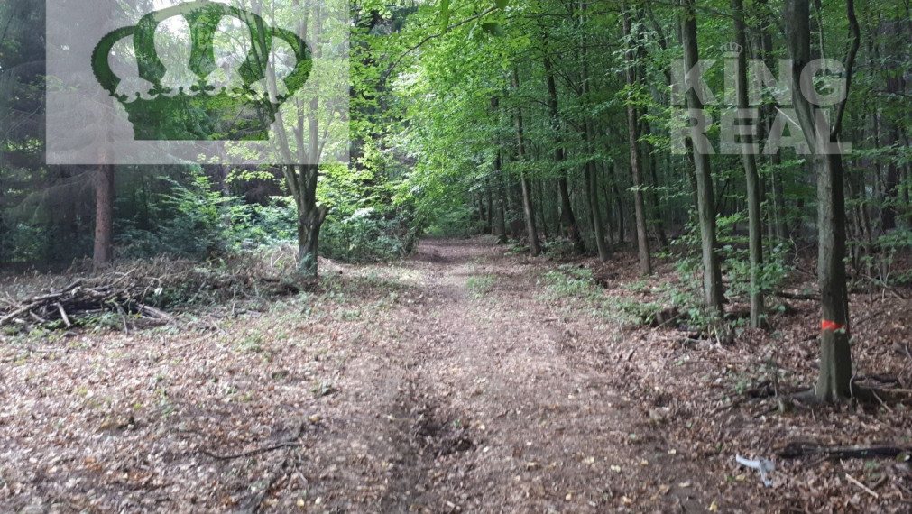 Pozemok na výstavbu chaty Prešov