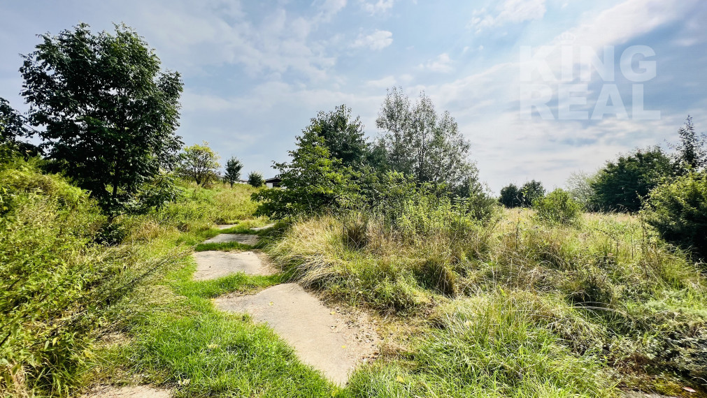 Predaj: Investičný pozemok Uzovský Šalgov 12 361 m2