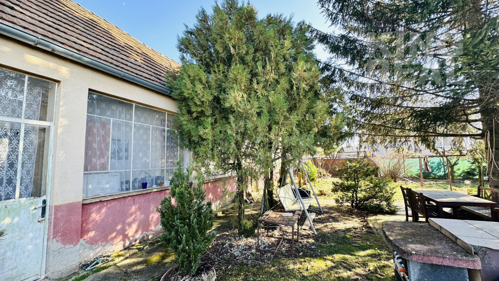 BRANOVO RODINNÝ DOM