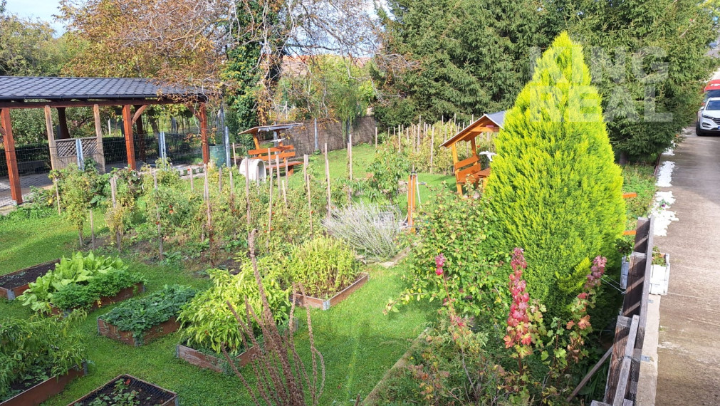 POZEMOK S KOMERČNOU BUDOVOU V CENTRE MESTA PEZINOK NA PREDAJ