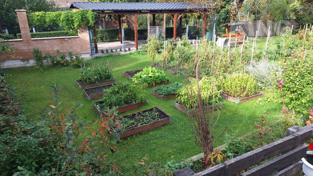 POZEMOK S KOMERČNOU BUDOVOU V CENTRE MESTA PEZINOK NA PREDAJ