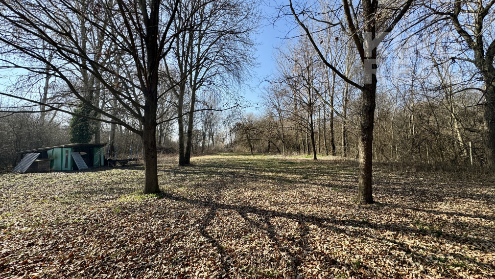 Rodinný dom Šurany - Nitriansky Hrádok s veľkým pozemkom!