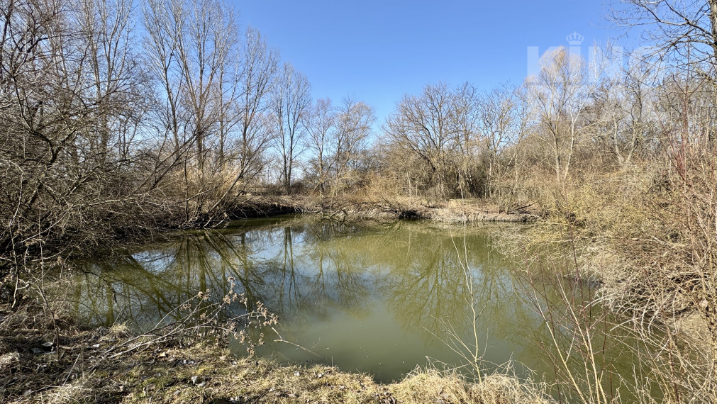 Rodinný dom Šurany - Nitriansky Hrádok s veľkým pozemkom!