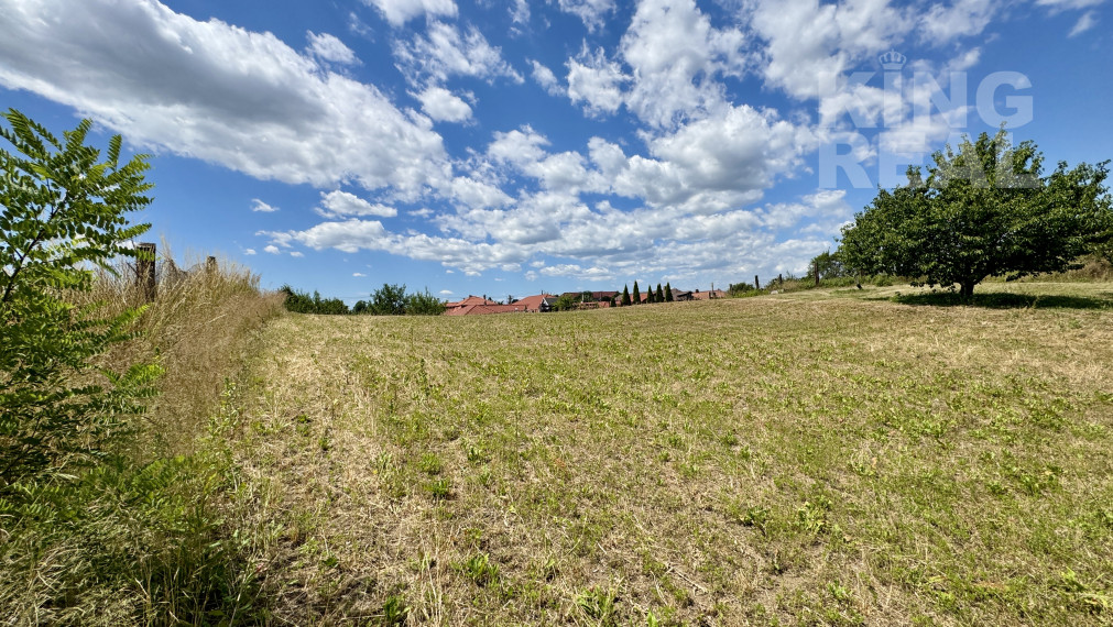 Na predaj stavebný pozemok, Biel, Trebišov ● Építési telek eladó, Bély, Terebes régió