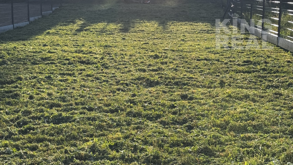 Novostavba v radovej zástavbe, Bardejov