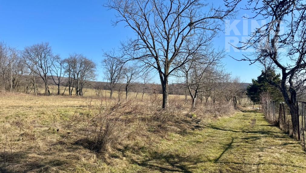 Pozemok v obci Hodkovce, Košice-okolie