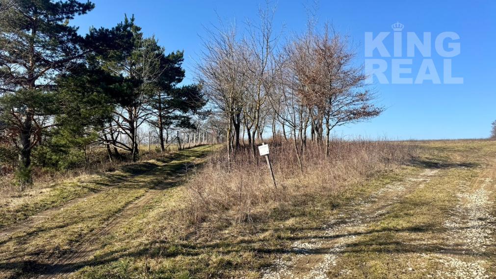 Pozemok v obci Hodkovce, Košice-okolie