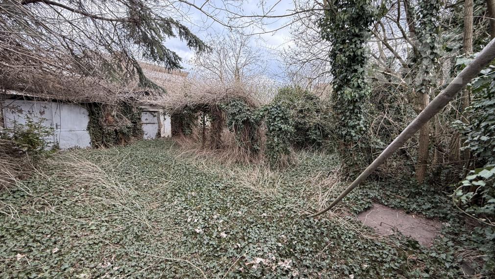 Pozemok s domom v obci Dvory nad Žitavou