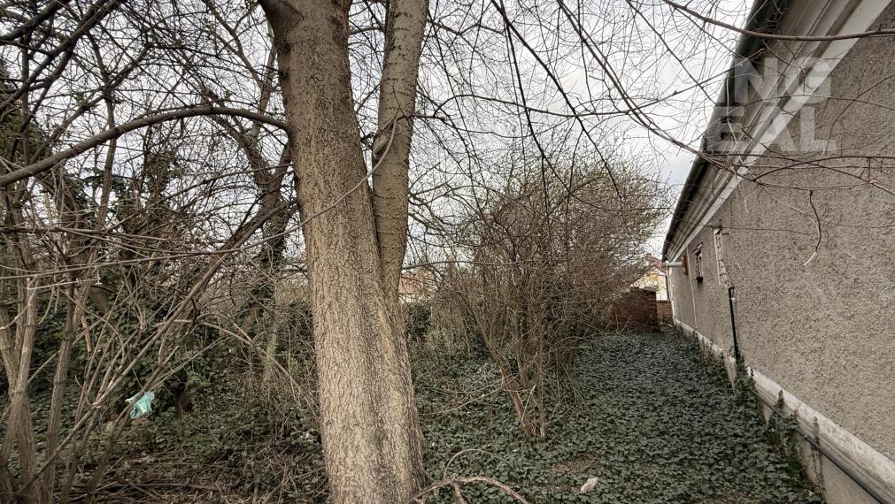 Pozemok s domom v obci Dvory nad Žitavou