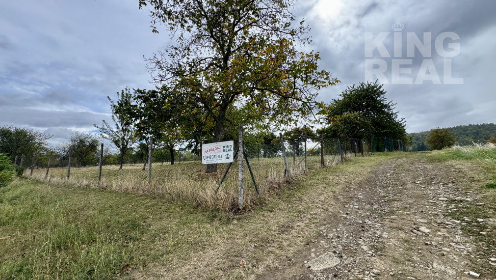 Na predaj stavebný pozemok, Ražňany, Sabinov