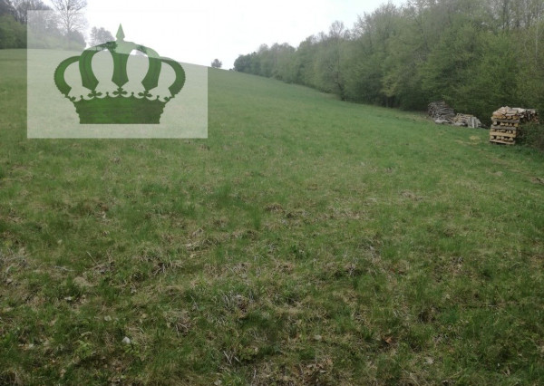 Pozemok v Bardejove vhodný na výstavbu rekreačnej chaty do výmery 75m2 + podkrovie