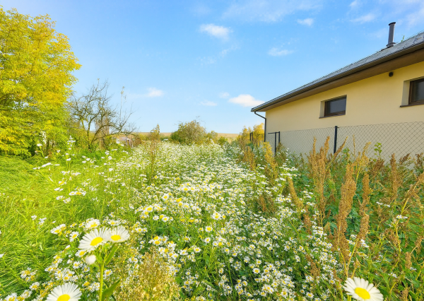 🏡 Na predaj pozemok v obci Rišňovce