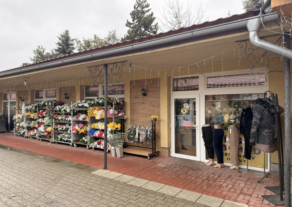 PRIESTOR NA PRENÁJOM V CENTRE MESTA ŠURANY